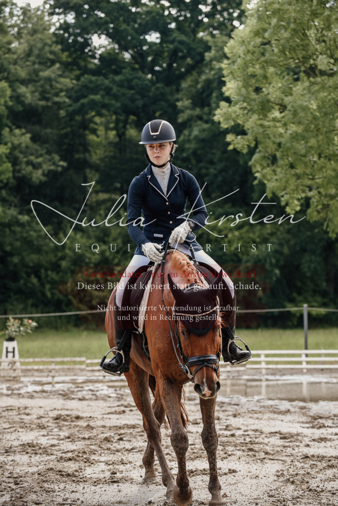 DSC_8980 | Pferde- und Turnierfotografie in Westsachsen. Pferdeportraits, Auftragszeichnungen und intuitive Kunst.