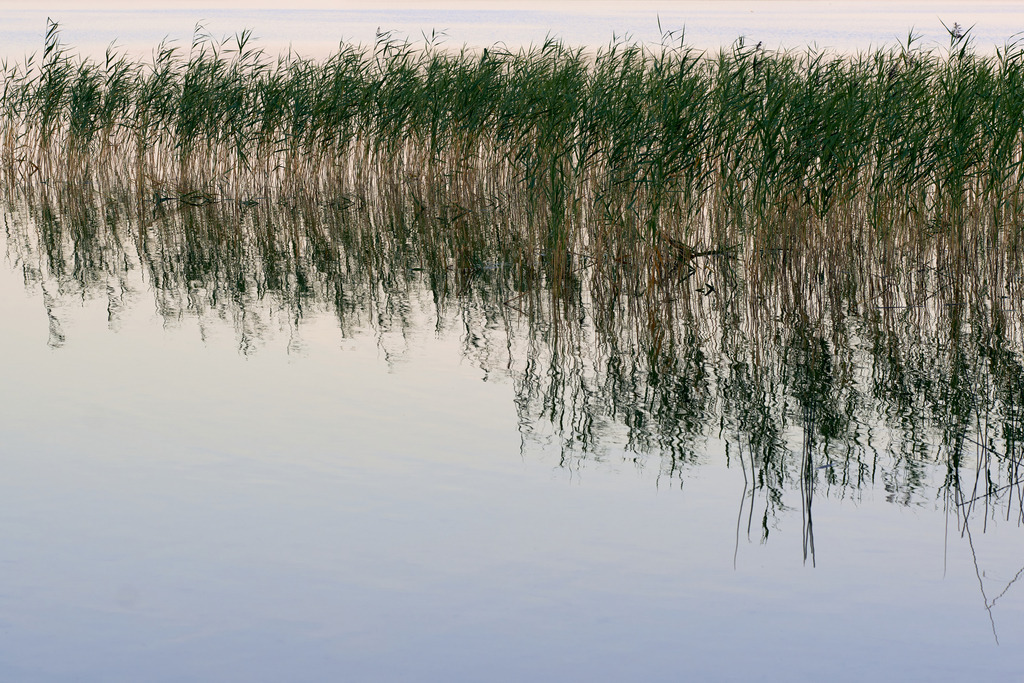Nationalpark Žemaitija; Morgenstimmung am See | Plateliai, Litauen - August 17, 2022: Nationalpark Žemaitija; Morgenstimmung am See. - Realisiert mit Pictrs.com
