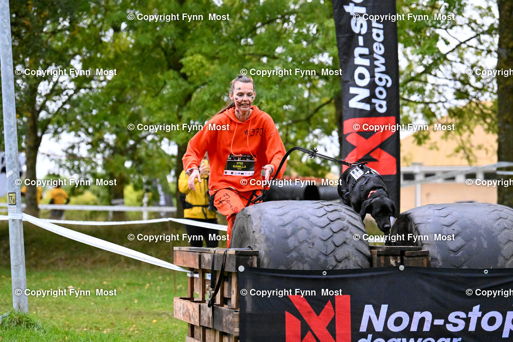 DSC_2628 | Hallo und herzlich Willkommen auf meiner Shop-Seite Fynn Most.

Ich wünsche Dir viel Spaß beim stöbern durch die Bilder, wenn Du Fragen hast oder Bilder vermisst, kannst du mir gerne eine Nachricht schreiben. - Realisiert mit Pictrs.com