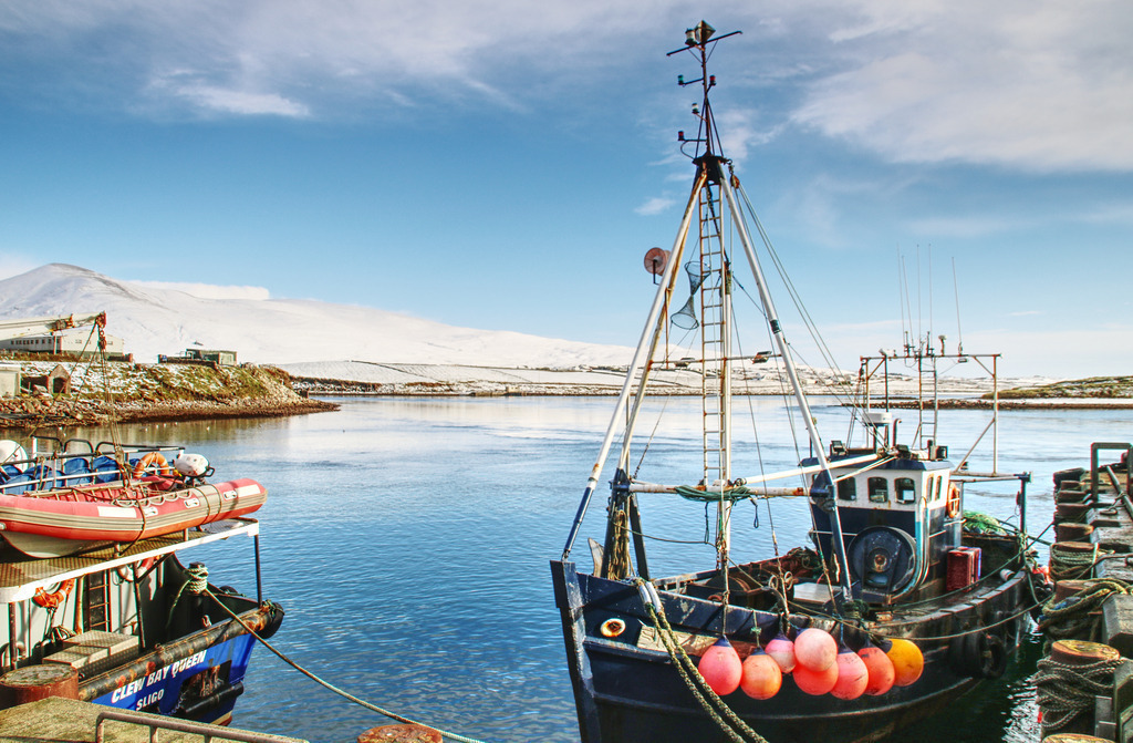 IMG_8429 | www-pimpup-me - Realisiert mit Pictrs.com