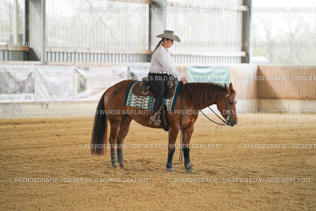 DSC07877 | Pferdegrafie