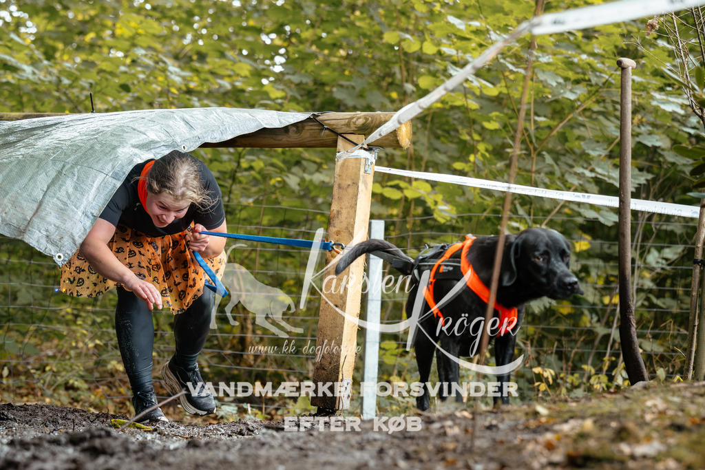 1432DZ6_2837Z6 | kk-dogfotos
