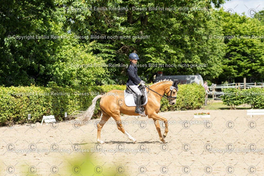 CL5A1216 | Emilia Reinking Fotografie - Realisiert mit Pictrs.com