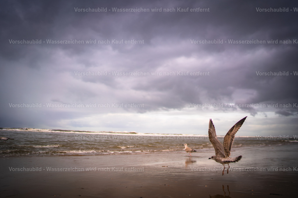 DSC01471-Enhanced-NR | marcuslinek