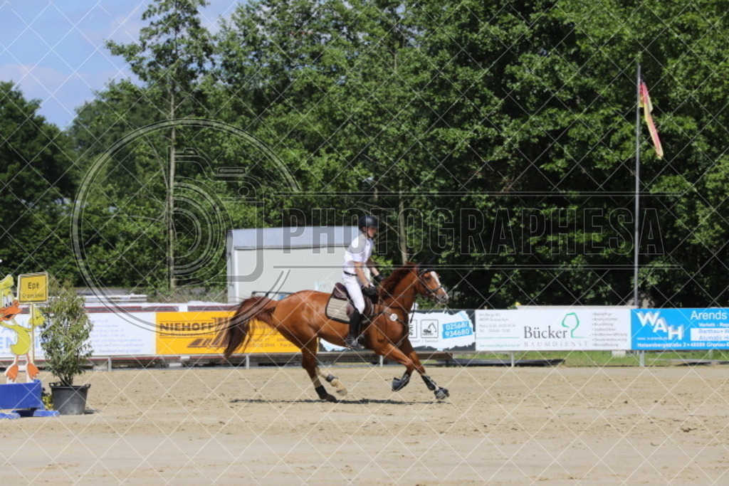 IMG_5387 | photographesa-joergens - Realisiert mit Pictrs.com