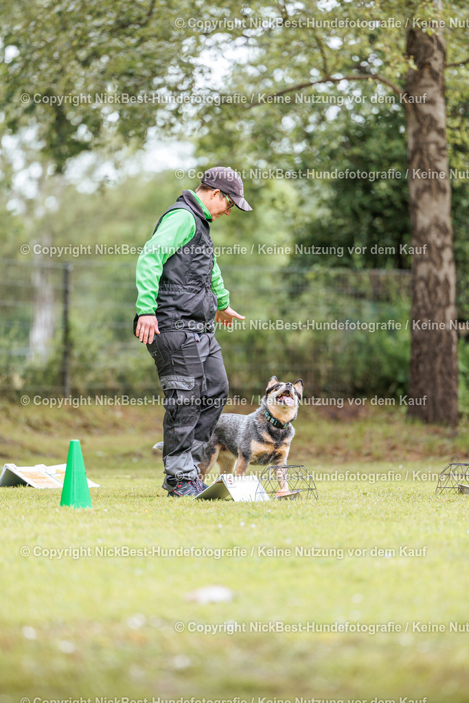 RO-Blumenthal-2026-Nickbest-Hundefotografie-1765 | Dein Hund! Dein Moment! Deine Erinnerungen! Hundefotografie in Bremen Blumenthal. Ich fange die besonderen Momente deines Vierbeiners ein – ob Indoor mit Blitzanlage oder in der freien Natur. Sicher dir dein Moment und dein Termin für eure Erinnerungen.