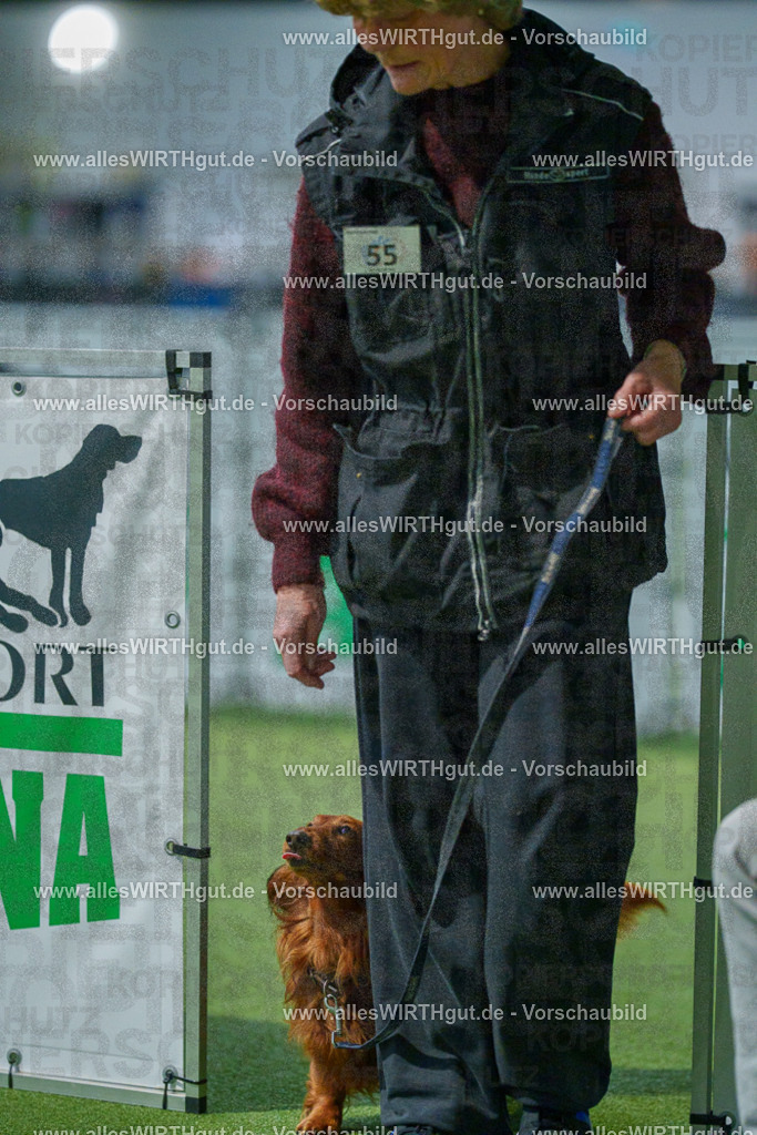 7R506839 | Professionelle Tierfotografie in Mönchengladbach von Daniel Wirth (allesWIRTHgut). Liebevolle & natürliche Bilder von Hunden & Katzen für unvergessliche Erinnerungen.