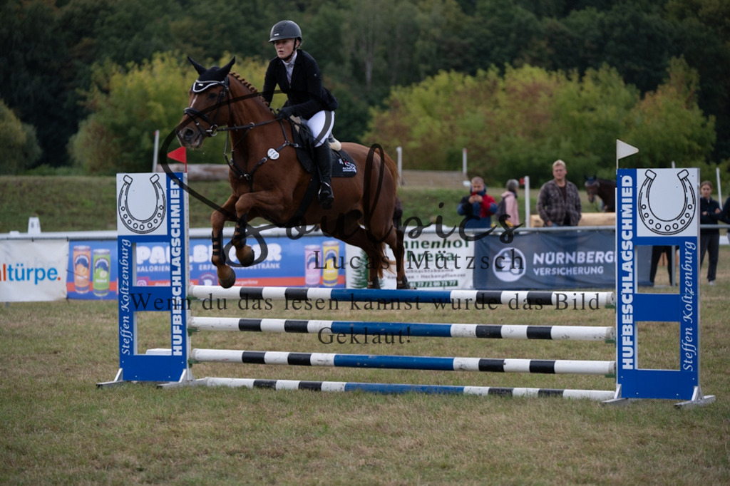 A7V07901 | Pferdefotograf