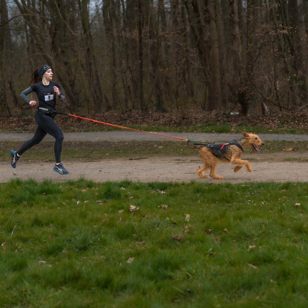 allesWIRTHgut Tierfotografie - 7IV04814 | Professionelle Tierfotografie in Mönchengladbach von Daniel Wirth (allesWIRTHgut). Liebevolle & natürliche Bilder von Hunden & Katzen für unvergessliche Erinnerungen.