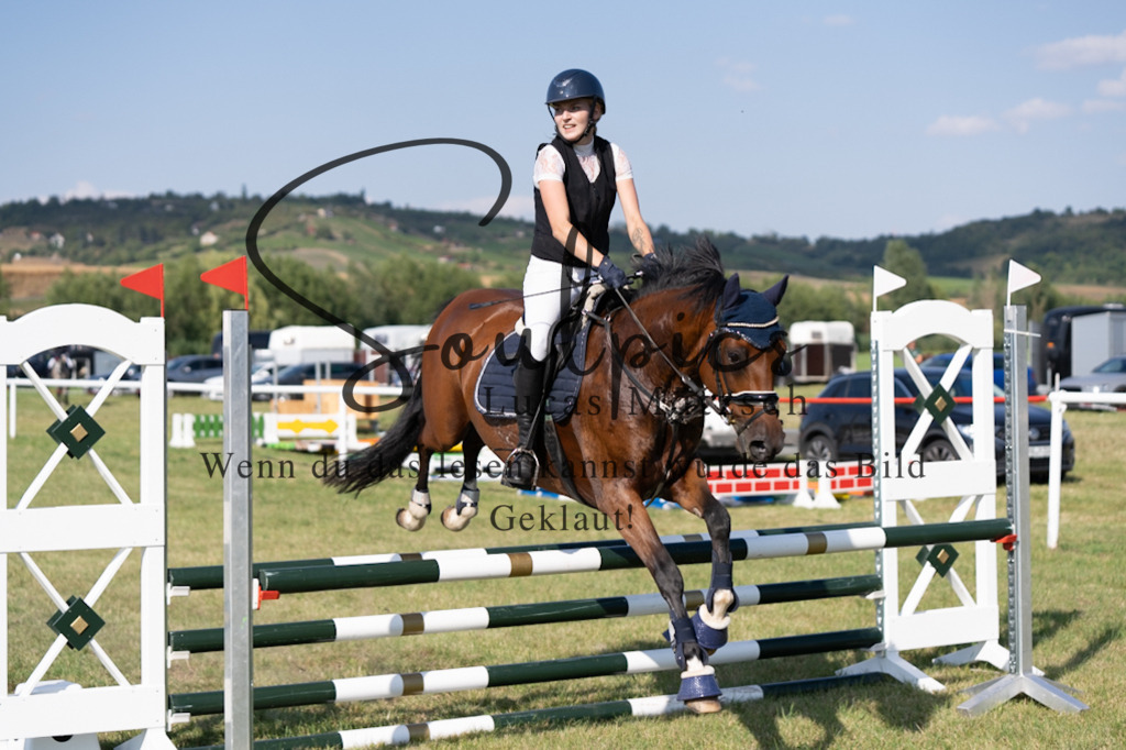 A7V00656 | Pferdefotograf