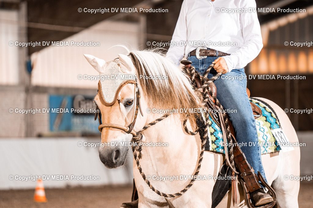 ZH200419 | dv-media-shop - Realisiert mit Pictrs.com