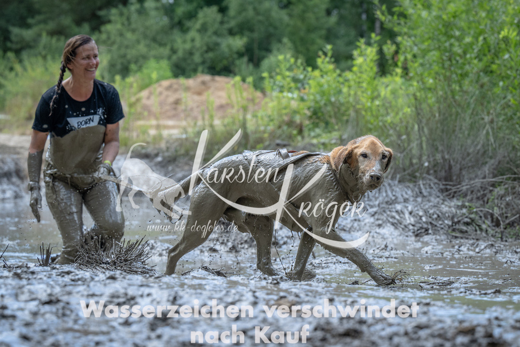 1159_ZZ94167 | kk-dogfotos