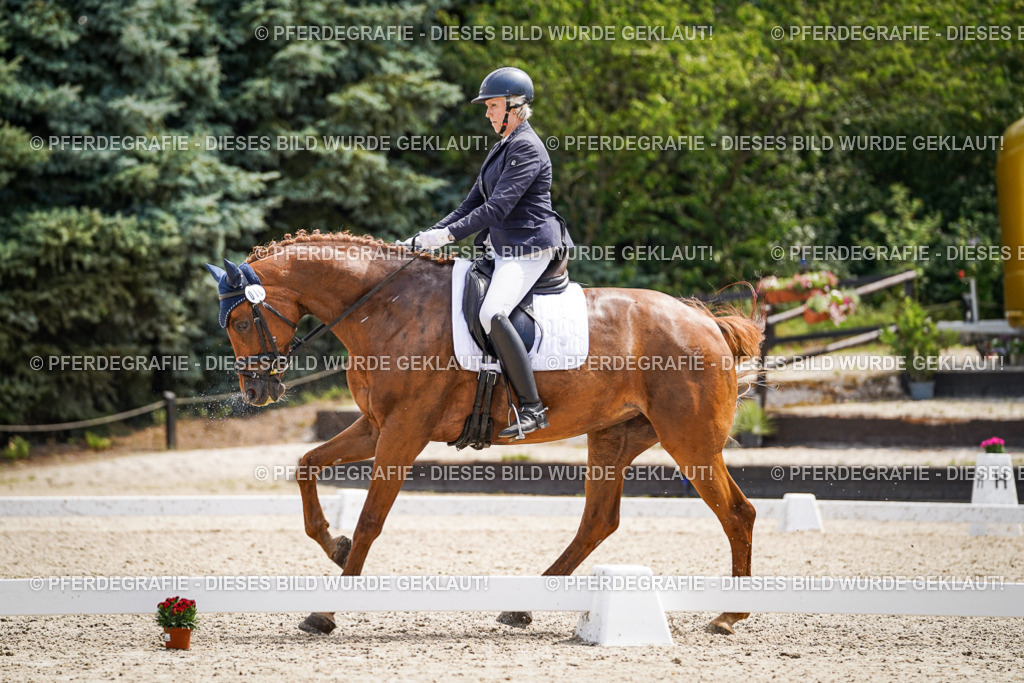 DSC00495 | Pferdegrafie