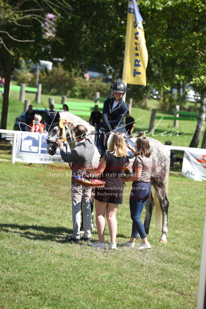 DSC_9635 | Pferde- und Turnierfotografie in Westsachsen. Pferdeportraits, Auftragszeichnungen und intuitive Kunst.