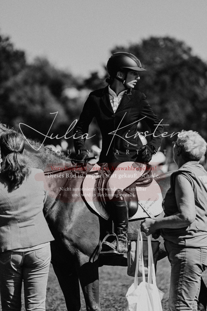 DSC_0151 | Pferde- und Turnierfotografie in Westsachsen. Pferdeportraits, Auftragszeichnungen und intuitive Kunst.