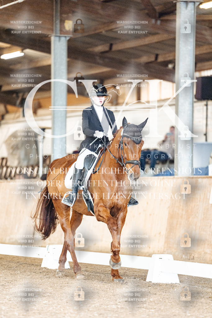 CK901087 | Turnierfotografie Pferdefotografie Trier Rheinland-Pfalz Pferdesport Reitsport Tierfotografie Sportfotografie Pferdevideo Pferdevideografie Equestrianvideography equestrianphotography  - Realisiert mit Pictrs.com
