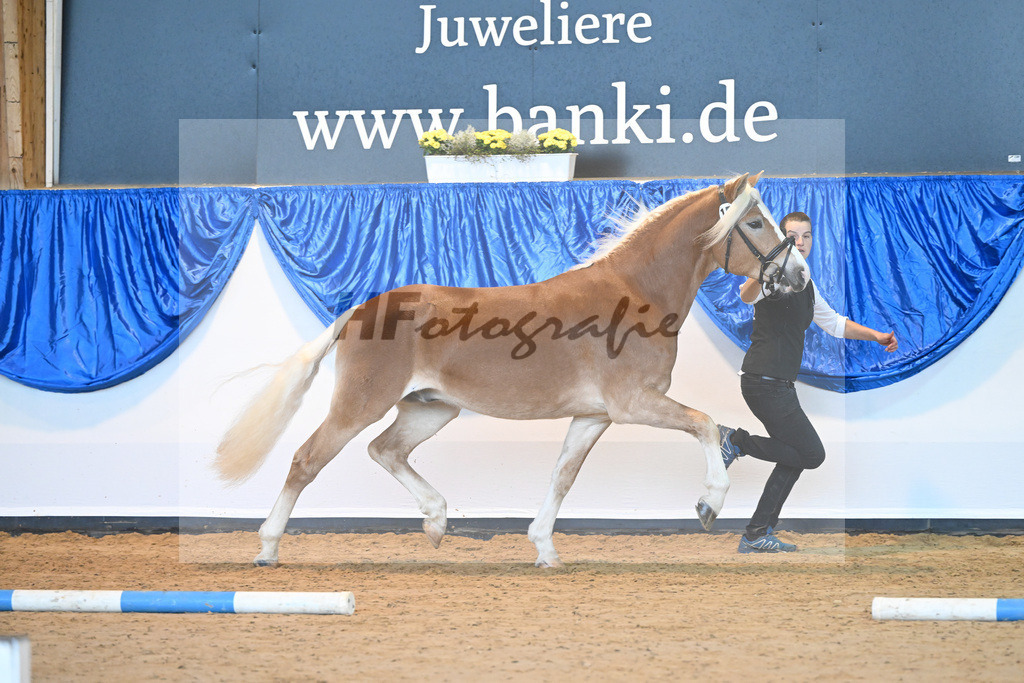 Kat-Nr. 15 Stubai v. Sternzauber_Meier_60220720 | hf-fotografie - Realisiert mit Pictrs.com