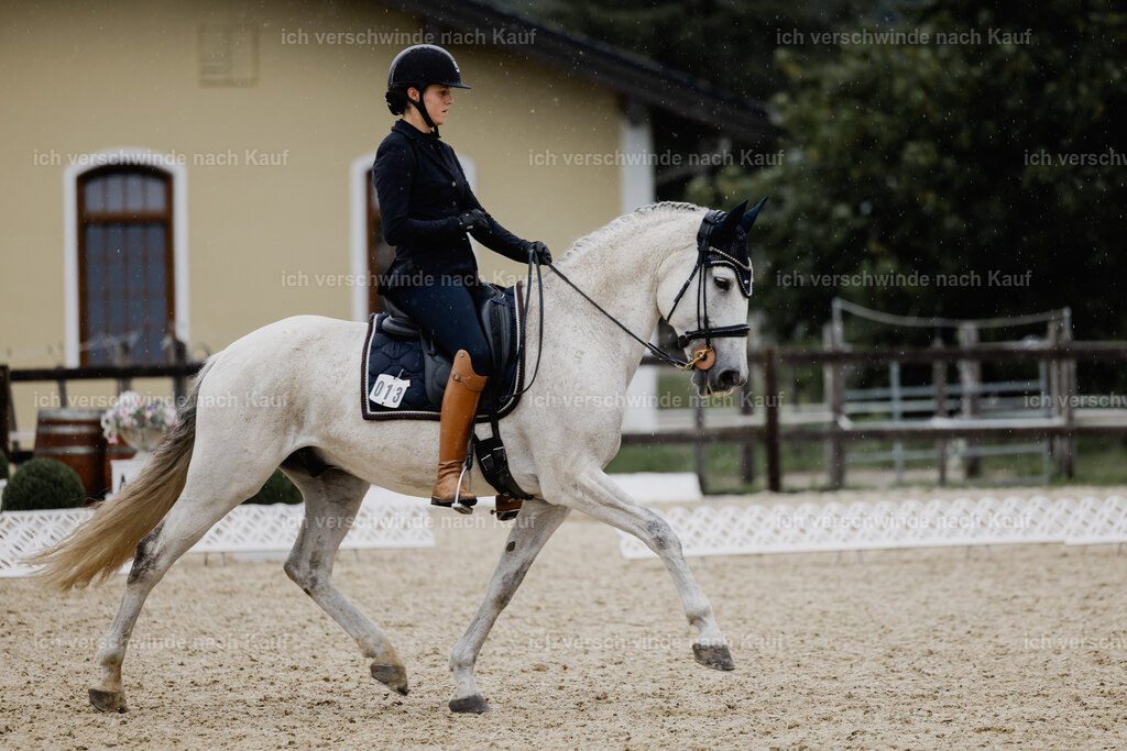 Svea13FHC2025-24615 | working equitationturnier fotograf videograf stoibphotography marixx film working equitation deutschland reitsport turnierfotografie eventfotografie equestrian events