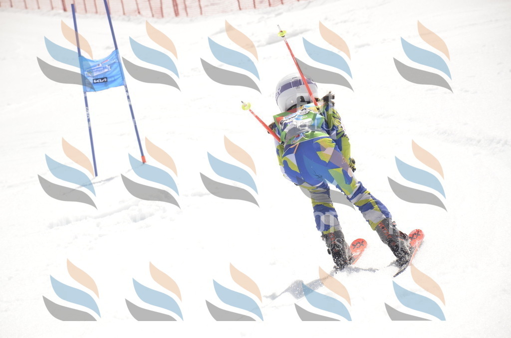 _ELE9130 | holidayphoto