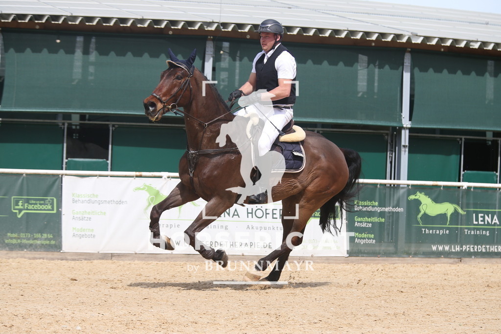 AS8V6593 | Willkommen bei Brunnmayr - Design & Fotografie – Ihrem Spezialisten für Reitturniere und Pferdeveranstaltungen in Oberösterreich, Salzburg und Bayern! Seit über 17 Jahren sind wir leidenschaftlich dabei.