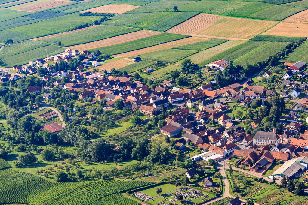 Luftbild: Ortsansicht aus Norden in Steinseltz im Bundesland Bas-Rhin in Frankreich. – Foto: IMG_31109.jpg vom 07.08.2010 durch Werner Riehm/FLY-FOTO.de – Auflösung des Originals: 4249 x 2832 px