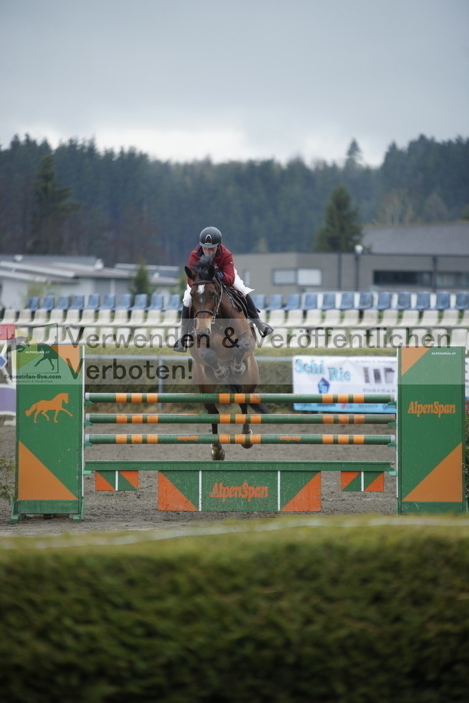 _DSC6372 | equestrian-live-com