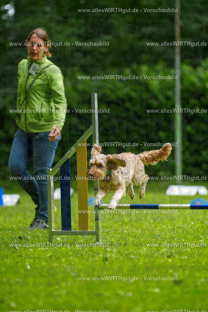 @allesWIRTHgut_Tierfotografie - www.allesWIRTHgut.de - 092129-7R506965 | Professionelle Tierfotografie in Mönchengladbach von Daniel Wirth (allesWIRTHgut). Liebevolle & natürliche Bilder von Hunden & Katzen für unvergessliche Erinnerungen.