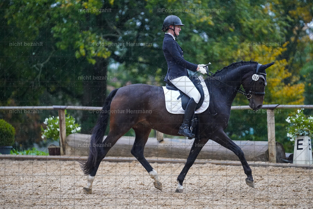 20221008-FAH02228 | Diessen am Ammersee, 2022, Dressur- und Springturnier, Reitsportbilder, Turnierfotografen Bayern, Pferdefotografen, Fotoagentur Herrmann, Turnierbilder