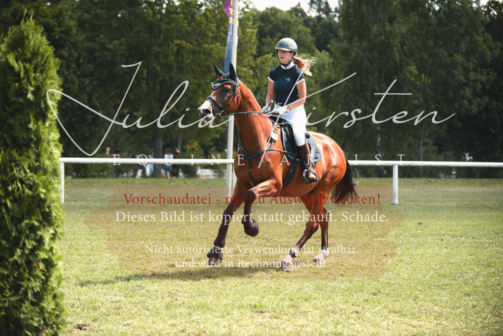 DSC_6474 | Pferde- und Turnierfotografie in Westsachsen. Pferdeportraits, Auftragszeichnungen und intuitive Kunst.