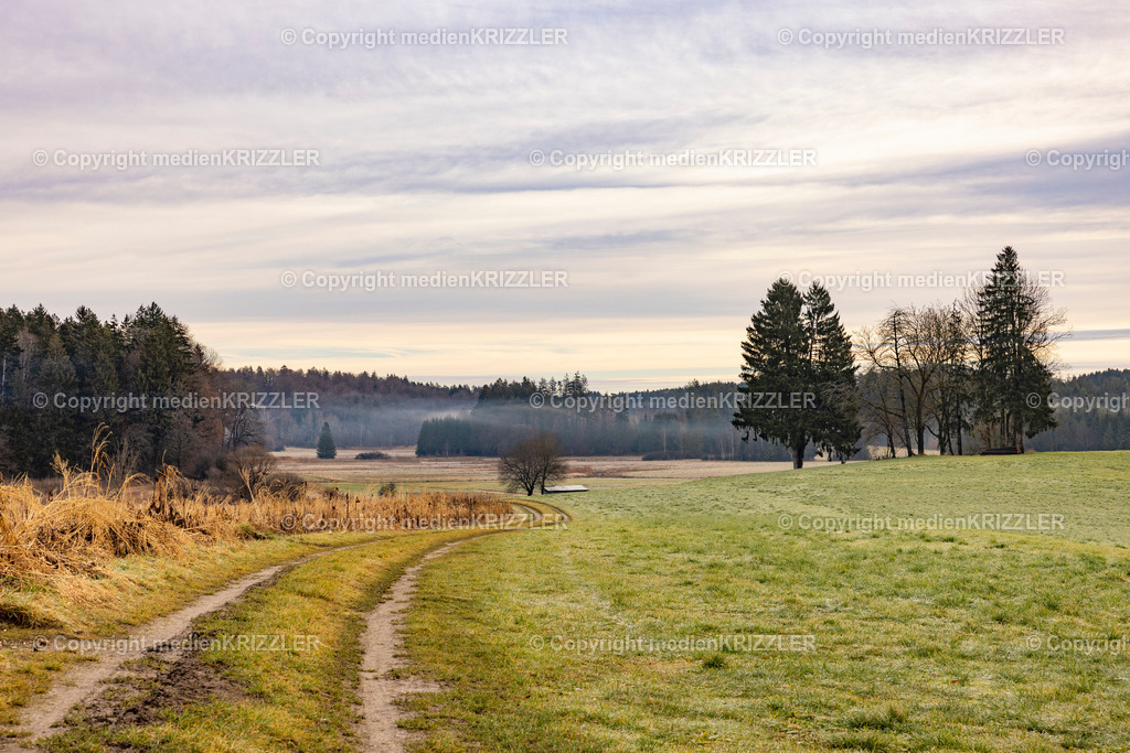 _J3A9900 | medienkrizzler - Realisiert mit Pictrs.com