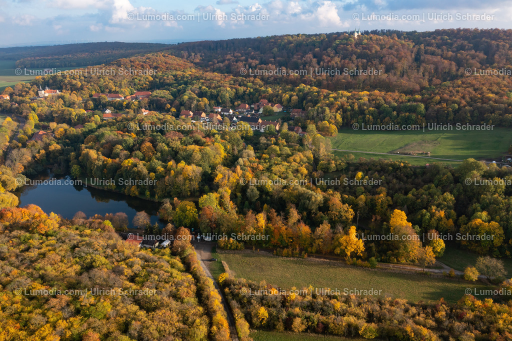10049-51482 - Herbststimmung im Huy | Stockfoto und Bilderpool mit Bildmaterial aus Deutschland, dem Harz, Halberstadt, Quedlinburg, Wernigerode und weltweit. Qualitativ hochwertige und professionelle Fotos anschauen und kaufen. - Realisiert mit Pictrs.com