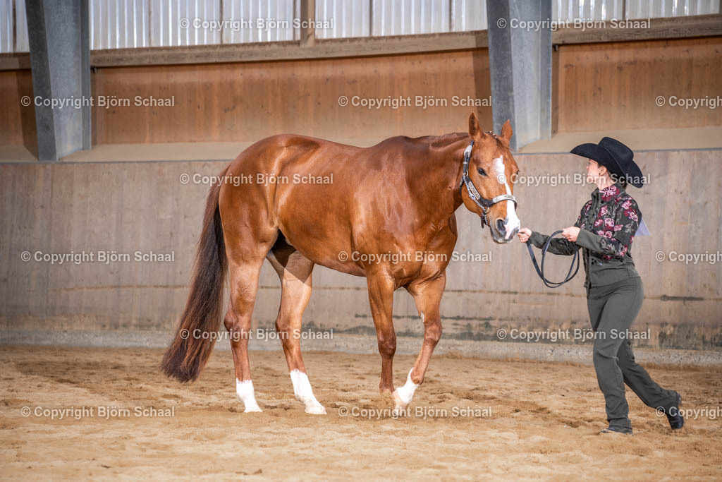 SBS09793 | BS-foto