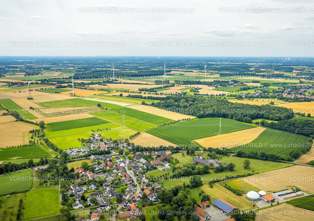 Werl240711690 | Luftbild, Wiesen und Felder mit Baumallee und Windräder bei Budberg, Fernsicht, Budberg, Werl, Soester Börde, Nordrhein-Westfalen, Deutschland