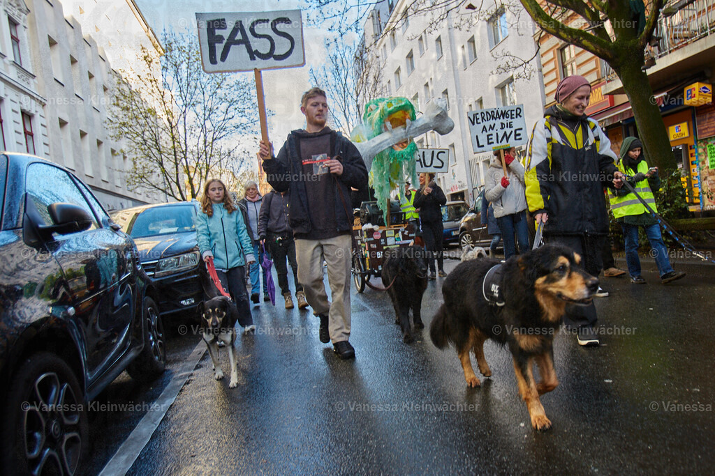 240323_Hundekuss36Bleibt_Hunderunde_12 | Vanessa Kleinwächter - Realisiert mit Pictrs.com