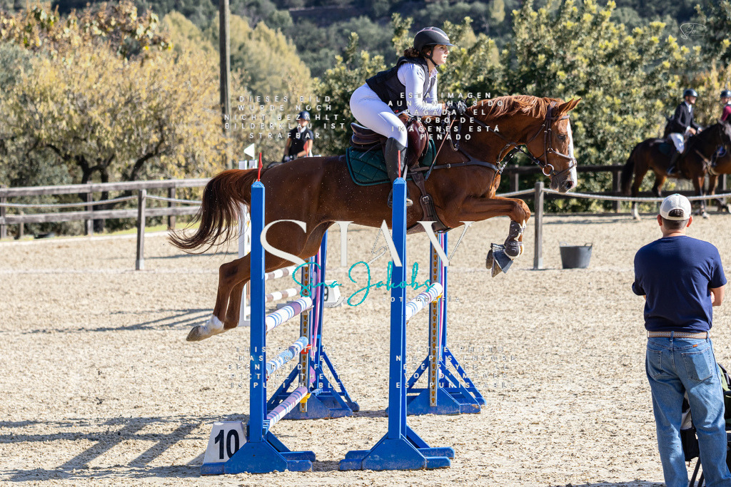 IMG_6348 | s-jay-photography - Realisiert mit Pictrs.com