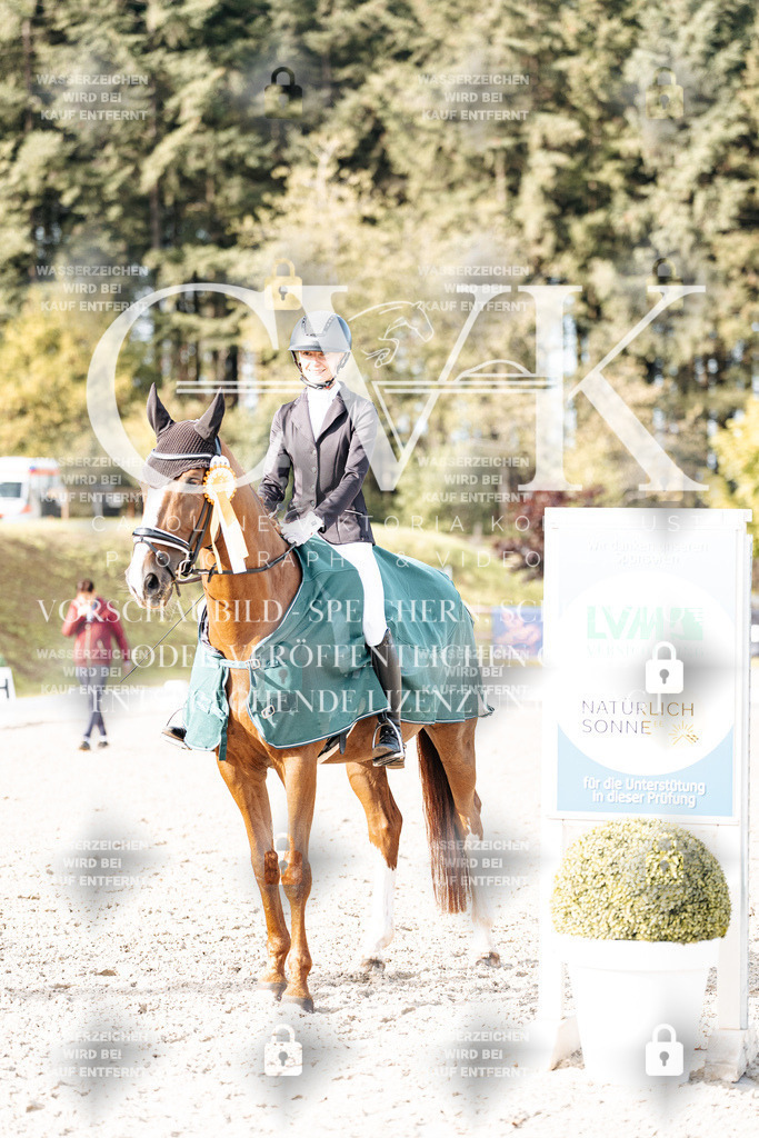 CK901403 | Turnierfotografie Pferdefotografie Trier Rheinland-Pfalz Pferdesport Reitsport Tierfotografie Sportfotografie Pferdevideo Pferdevideografie Equestrianvideography equestrianphotography  - Realisiert mit Pictrs.com