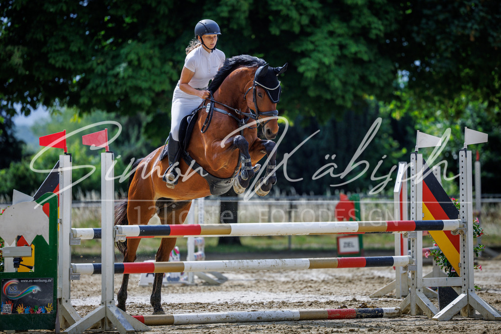 20260705-_3LI4239 | Tierfotografie Pferde, Hunde, Katzen, Haustiere.
Turnierfotografie Reitturniere, Reiten, Springreiten, Dressur in Hanau, dem Main-Kinzig-Kreis und dem Rhein-Main- Gebiet um Frankfurt