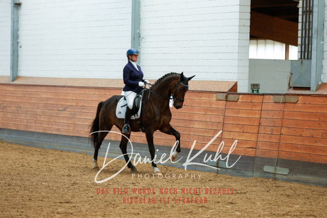 _62_4459 | Turniersportfotografie; Pferdefotografie; Dressurfotografie