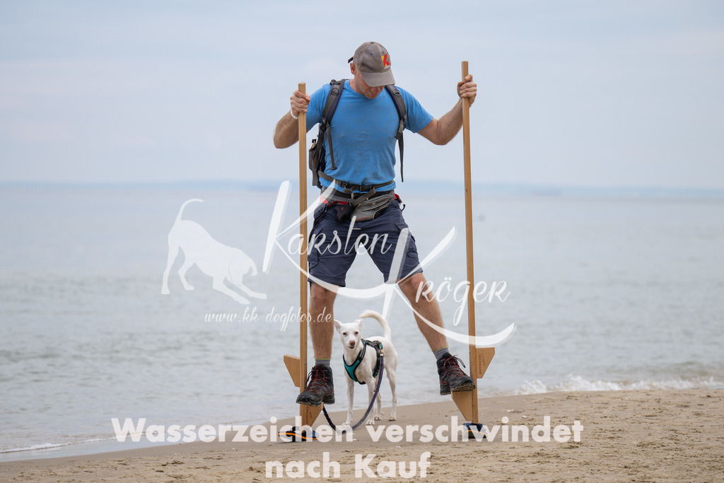 1310_ZZ93679 | kk-dogfotos