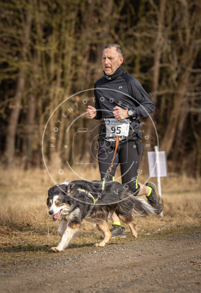 DV3A3926 | Hundefotografie, Tierfotograf, Pfotenfotografie, Fotoshooting Hund, Hunde Portrait, Hundesport, Hundeportraits, Heideshooting, Hunde, Sportfotograf, Hundefotograf, Turnierhundsport, THS,  - Realisiert mit Pictrs.com