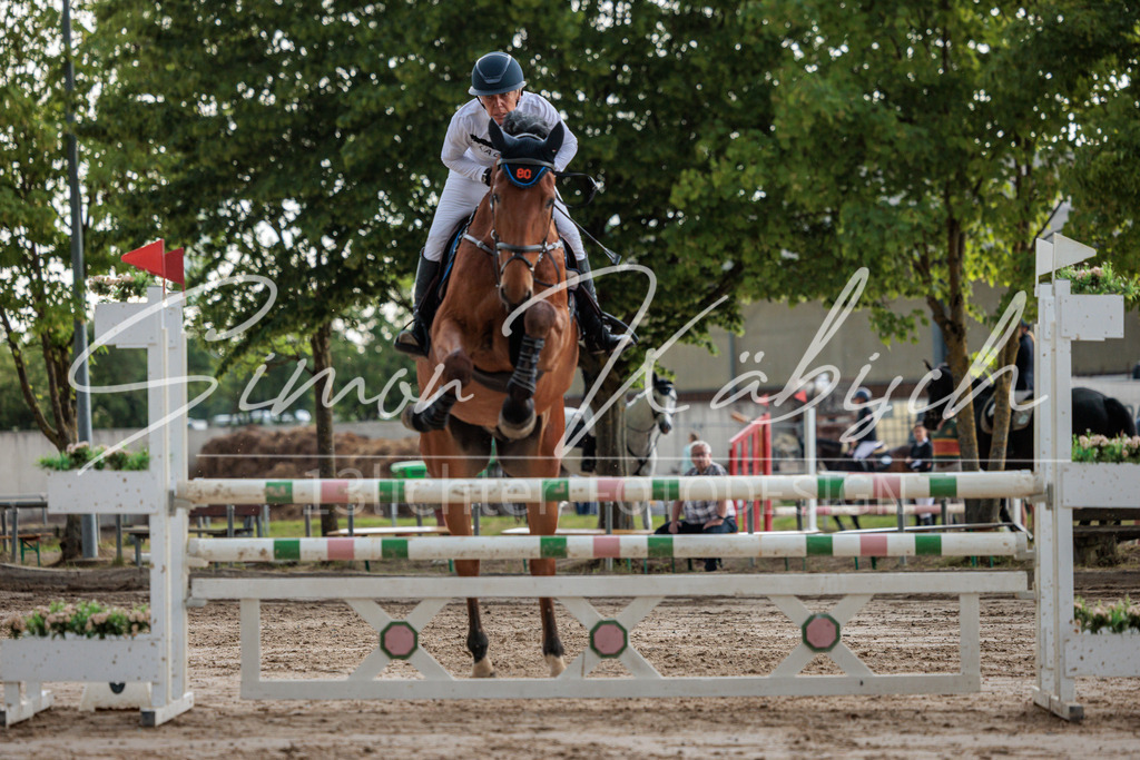 20260531-_3LI3504 | Tierfotografie Pferde, Hunde, Katzen, Haustiere.
Turnierfotografie Reitturniere, Reiten, Springreiten, Dressur in Hanau, dem Main-Kinzig-Kreis und dem Rhein-Main- Gebiet um Frankfurt