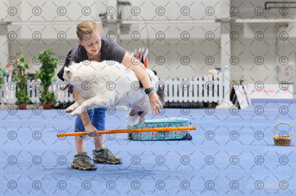 202406_ÖKV-IHA-Tulln24_DSC_4509 | proPHOTO - Realisiert mit Pictrs.com