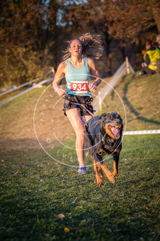CaniXpix_0L8A1847 | Hundefotografie, Tierfotograf, Pfotenfotografie, Fotoshooting Hund, Hunde Portrait, Hundesport, Hundeportraits, Heideshooting, Hunde, Sportfotograf, Hundefotograf, Turnierhundsport, THS,  - Realisiert mit Pictrs.com