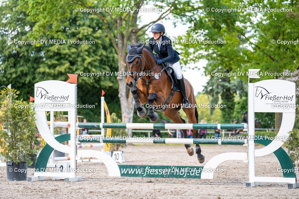 Eppelheim Tag 2-633 | dv-media-shop - Realisiert mit Pictrs.com