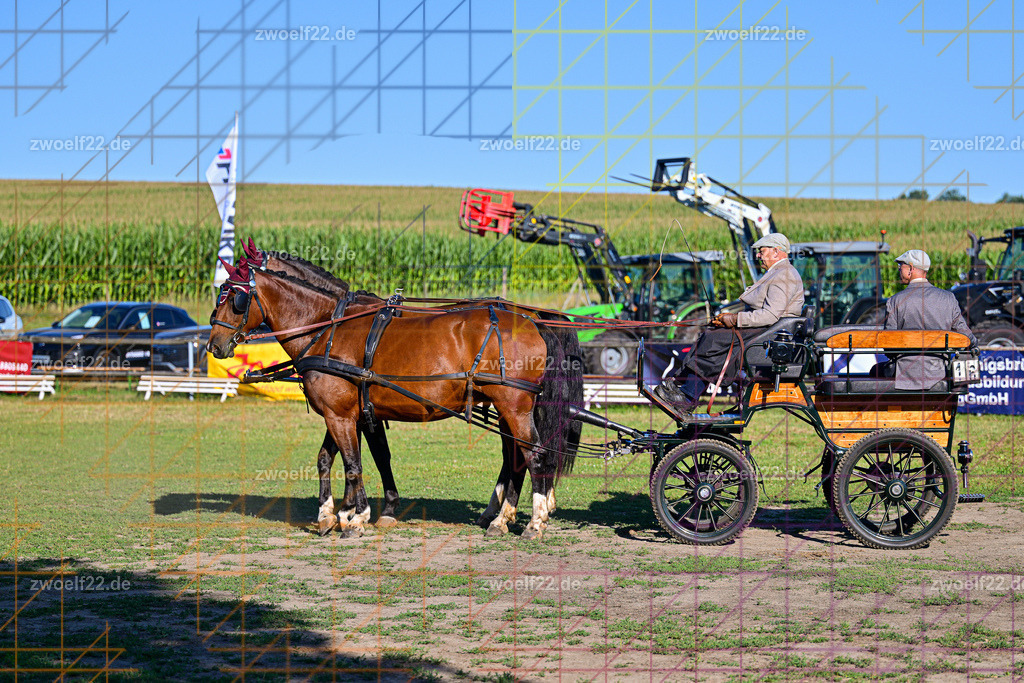 30 Jahre RFV Pulsnitz e.V., Pulsnitz am 09.08.2026 | 30Jahre Reit- und Fahrverein Pulsnitz e.V., Pulsnitz am 08.08.2026, Zur 28. breitensportlichen Veranstaltung des RFV Pulsnitz e.V. fanden verschiedene Wettbewerbe in nahezu allen Disziplinen des Pferdesport statt.- Dressur-Fahr-Wettbewerb - Realisiert mit Pictrs.com