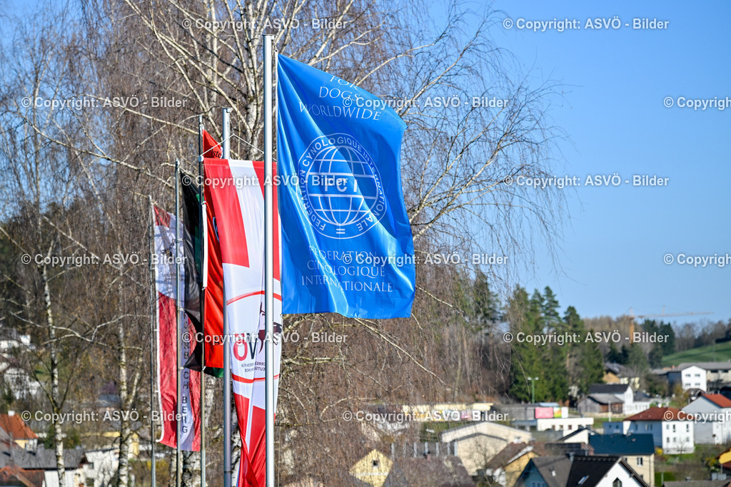 ASVÖ_ Tracking Dog World Championship 2025_ 03.04.2025-18 | 03.04.2025, AUT, ASVÖ, Tracking Dog World Championship // FCI IGP Fährtenhundeweltmeisterschaft 2025©fodo.media / Harald Dostal - Realisiert mit Pictrs.com