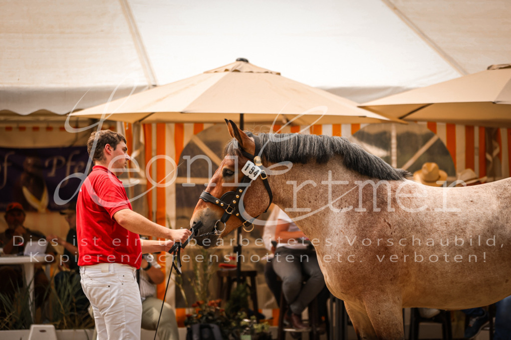 3.Sa00065 | Leoni Ertmer Photography - Realisiert mit Pictrs.com