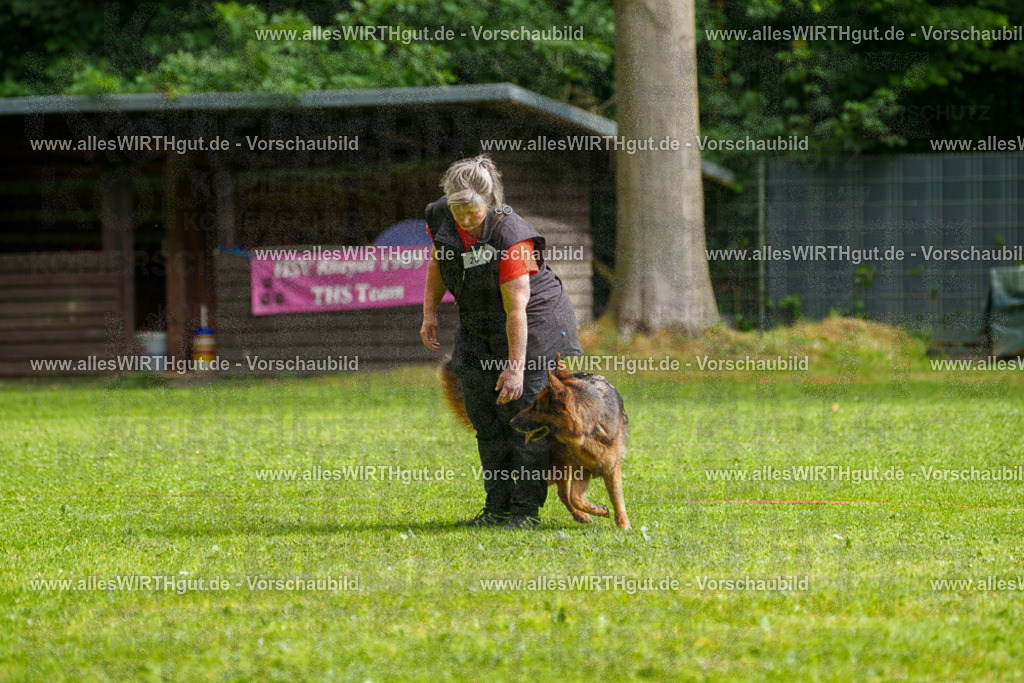 @allesWIRTHgut_Tierfotografie - www.allesWIRTHgut.de - 7R502427 | Professionelle Tierfotografie in Mönchengladbach von Daniel Wirth (allesWIRTHgut). Liebevolle & natürliche Bilder von Hunden & Katzen für unvergessliche Erinnerungen.
