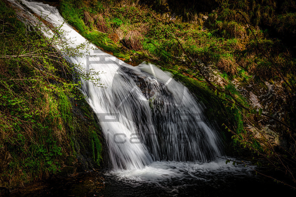 Allerheiligen Wasserfälle | Diese Wasserfälle gehören zu den größten und schönsten im Schwarzwald. Man fühlt sich fast wie im Hochgebirge Österreichs oder der Schweiz. Der 1840 erschlossene Wasserfall fällt über mehrere Ebenen knapp 90 Meter in die Tiefe während Wanderer ihn auf seinem Weg auf Pfaden, Treppen und über Brücken hinweg begleiten können. - Realisiert mit Pictrs.com
