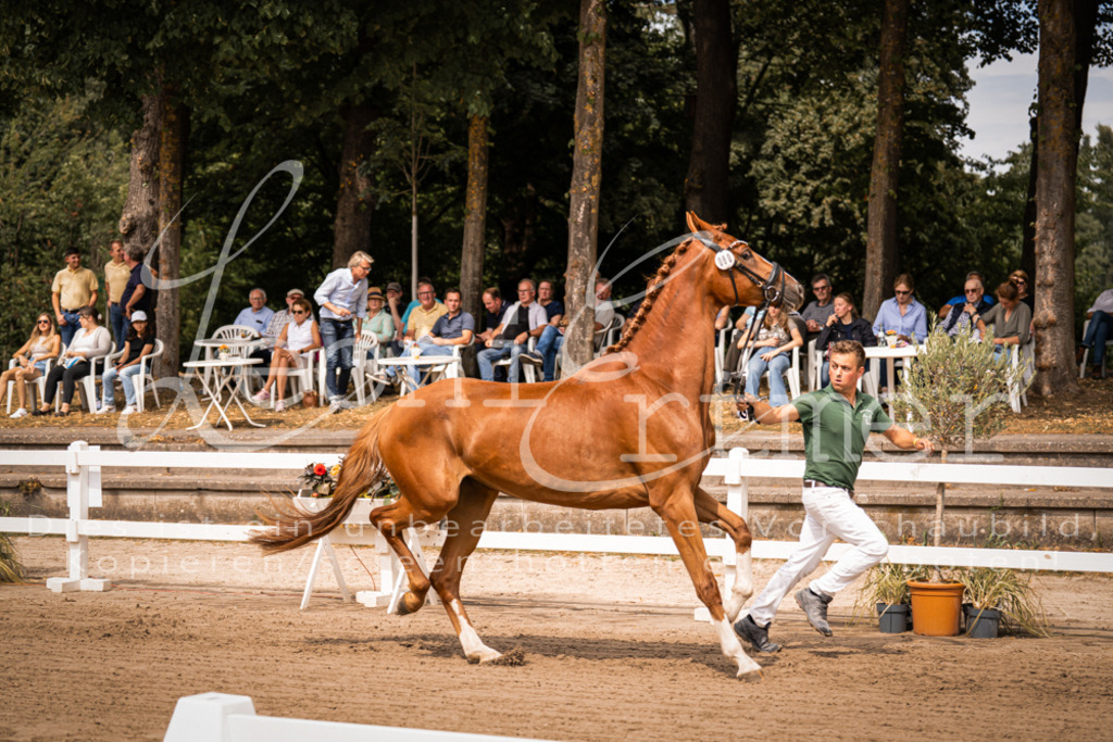 4.Fr00168 | Leoni Ertmer Photography - Realisiert mit Pictrs.com